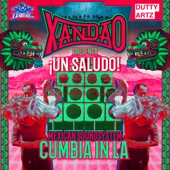 Un Saludo: Mexican Soundsystem Cumbia in LA artwork