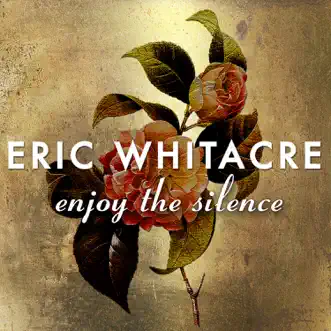 Enjoy The Silence - Single by Eric Whitacre & Eric Whitacre Singers album reviews, ratings, credits