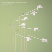 Modest Mouse - The Good Times Are Killing Me (Album Version)