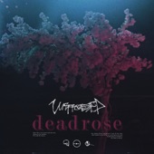 Deadrose artwork