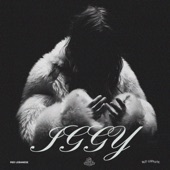 Iggy artwork