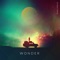 Wonder artwork