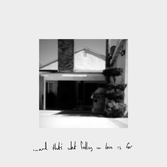 Cover artwork for What Falling in Love Is For