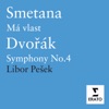 Smetana - Die Moldau