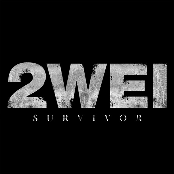 Cover artwork for Survivor