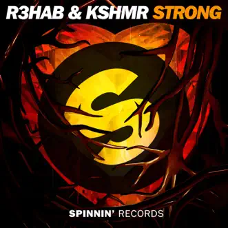 Strong by R3HAB & KSHMR song reviws