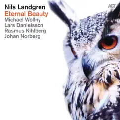 Love of My Life (feat. Michael Wollny, Lars Danielsson, Johan Norberg & Rasmus Khilberg) Song Lyrics