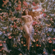 More Than That - Lauren Jauregui