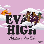 Eva High artwork