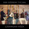 Czerwona róża (Radio Edit) - Single album lyrics, reviews, download