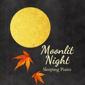 Moonlit Night Sleeping Piano artwork