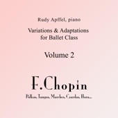 Polka Variation on Chopin's Mazurka in B-Flat Major, Op. 17: No. 1 artwork