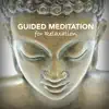 Guided Meditation for Deep Relaxation - Guided Meditation Audio & Relaxing Sleep Music to Ease Stress and Calm your Nerves album lyrics, reviews, download