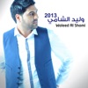 Waleed Al Shami 2013
