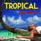 Ballenato De Monterrey - Tropical del Bravo lyrics