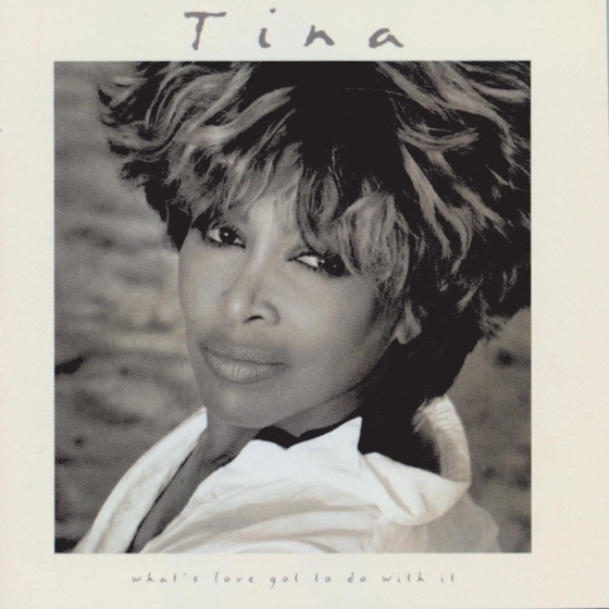 Cover artwork for Nutbush City Limits