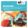 Nicholson - Serenity (Radio Edit)