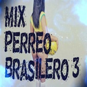 Mix Perreo Brasilero, Vol. 3 artwork