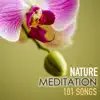 Stream & download Nature Meditation 101 Songs