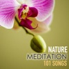 Nature Meditation 101 Songs