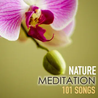 Nature Meditation 101 Songs by Spa Music Relaxation Meditation album reviews, ratings, credits