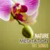 Nature Meditation 101 Songs album cover