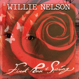 Willie Nelson - We Are the Cowboys - 排舞 音乐