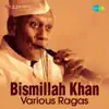 Bismillah Khan - Various Ragas album lyrics, reviews, download