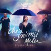 Cheia Inimii Mele (Adrian Funk & OLiX Remix) - Single