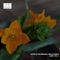 Stillness Healing - Remonica Healing Studio lyrics
