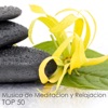 Top 50 Música de Meditación y Relajacion - 50 Musicas Relajantes para Descansar, Dormir y Soñar