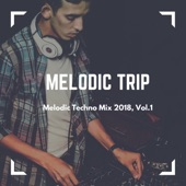 Melodic Trip - Melodic Techno Mix 2018, Vol. 01 (Compiled & Mixed by Goudz) artwork