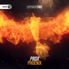 Dirty Workz - Phoenix