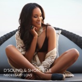 Necessary Love artwork