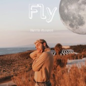 Fly artwork