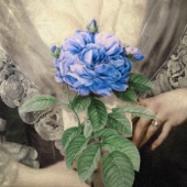 Blue Rose (feat. X.Q) artwork