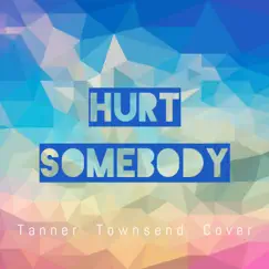 Hurt Somebody - Single by Tanner Townsend album reviews, ratings, credits