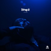 Drop It artwork