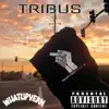 Tribus - Single album lyrics, reviews, download