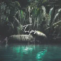 Trips - Single by Reem album reviews, ratings, credits
