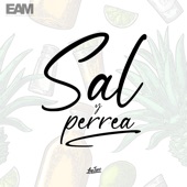 Sal y Perrea (Remix) artwork