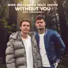 Without You (feat. Jordan Shaw) song lyrics