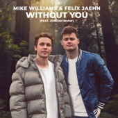 Mike Williams - Without You