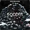Goodbye (feat. LPI) - Single album lyrics, reviews, download