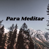 Para Meditar artwork