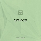 Wings artwork