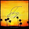 Stream & download Sky Chill (Beat Instrumental) - Single