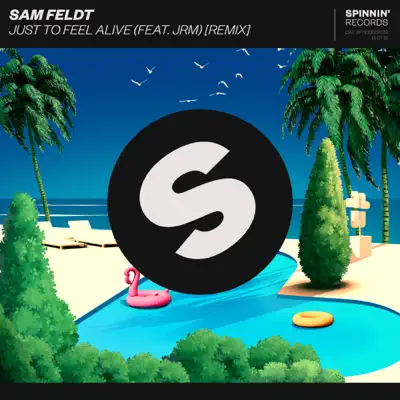 Just to Feel Alive (feat. JRM) [Remix] - Single - Sam Feldt