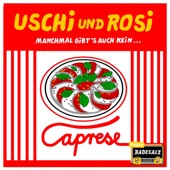 Manchmal gibt's halt kein Caprese! artwork