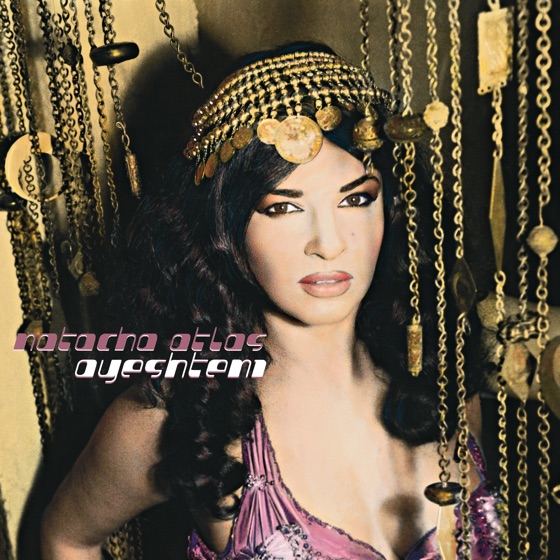 Cover artwork for Ne me quitte pas